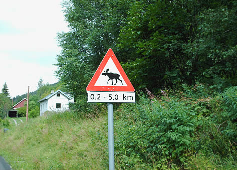Moose Signpost